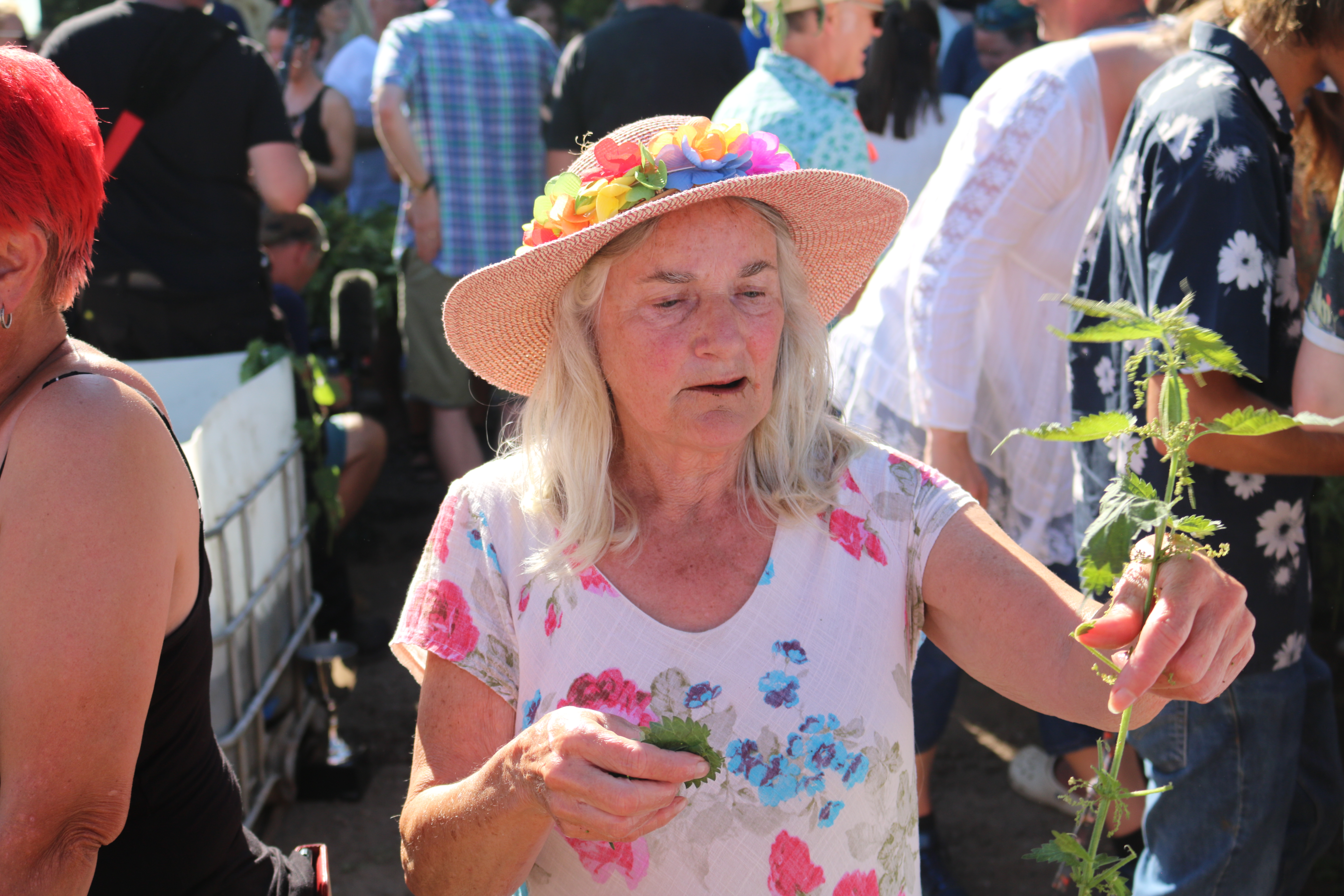 world nettle eating championships