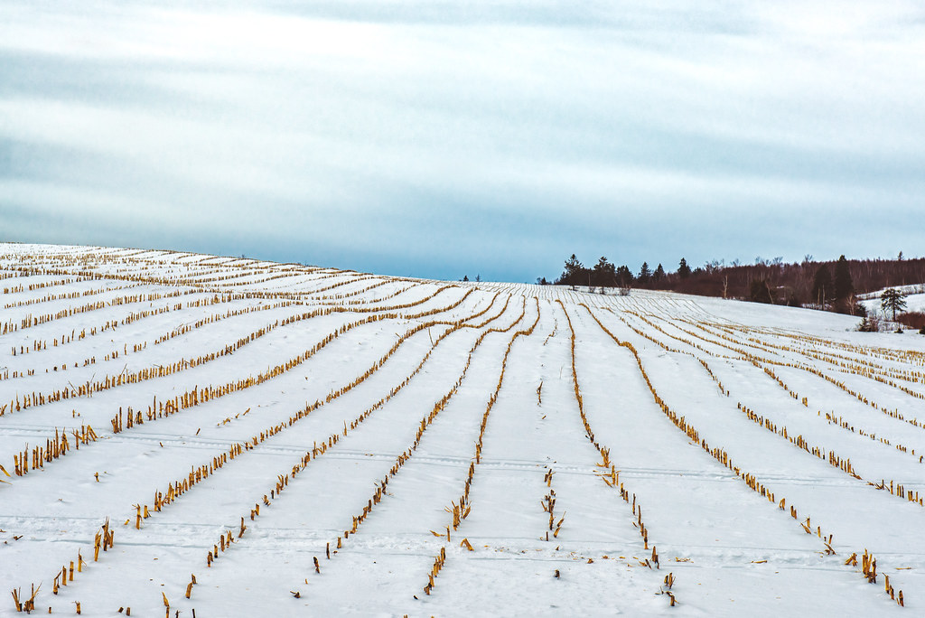 1816 year without a summer