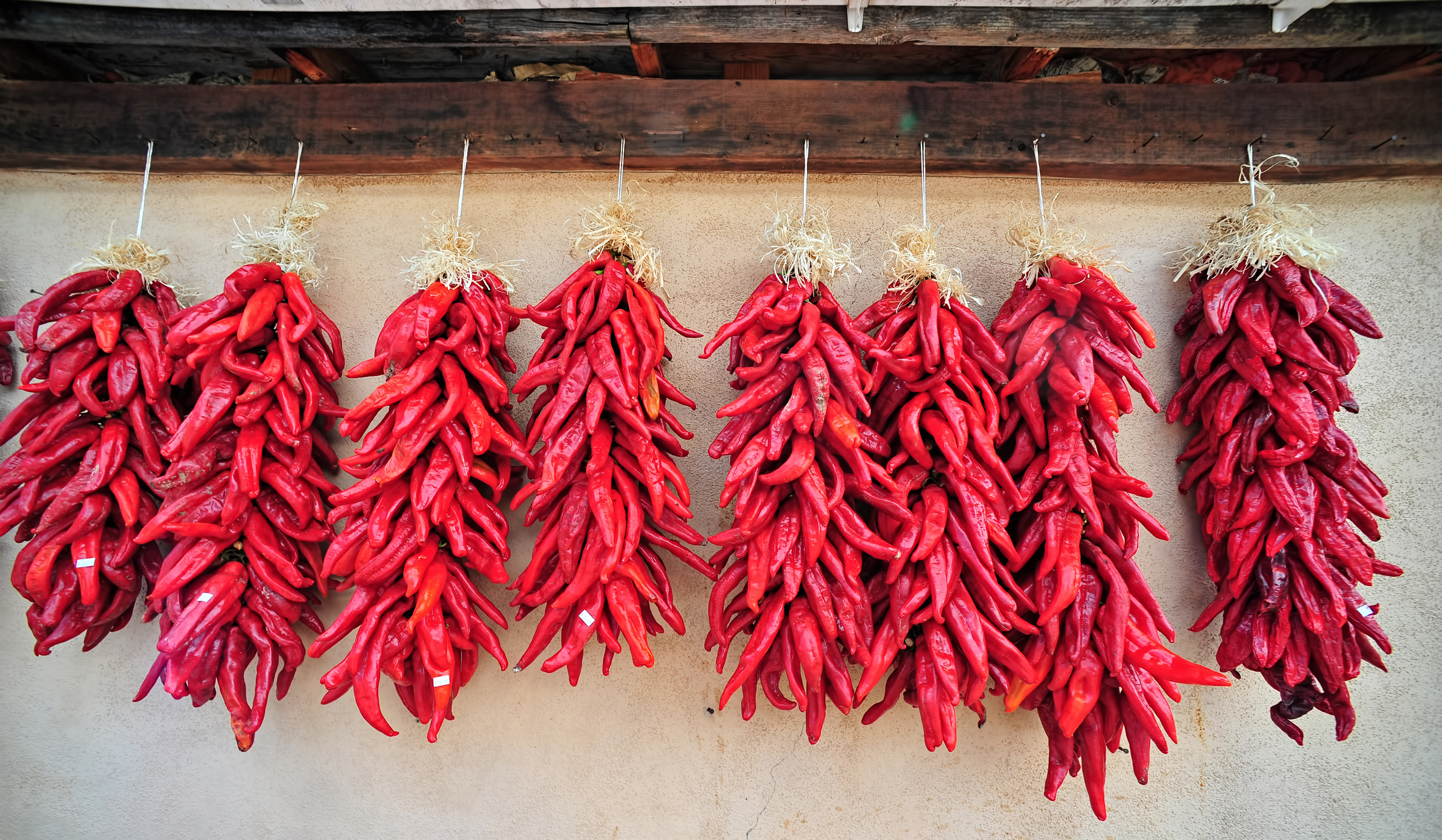 hottest chili in the world