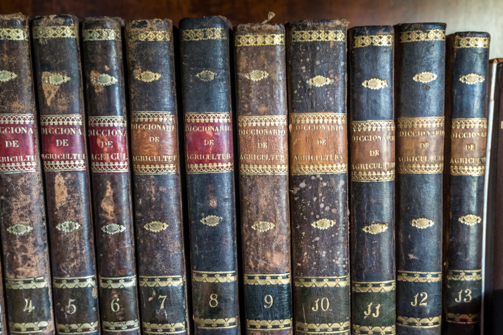 dictionary characters