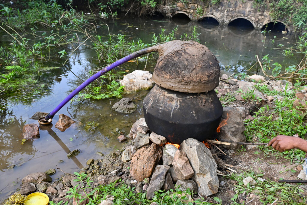 mahua drink indian liquor