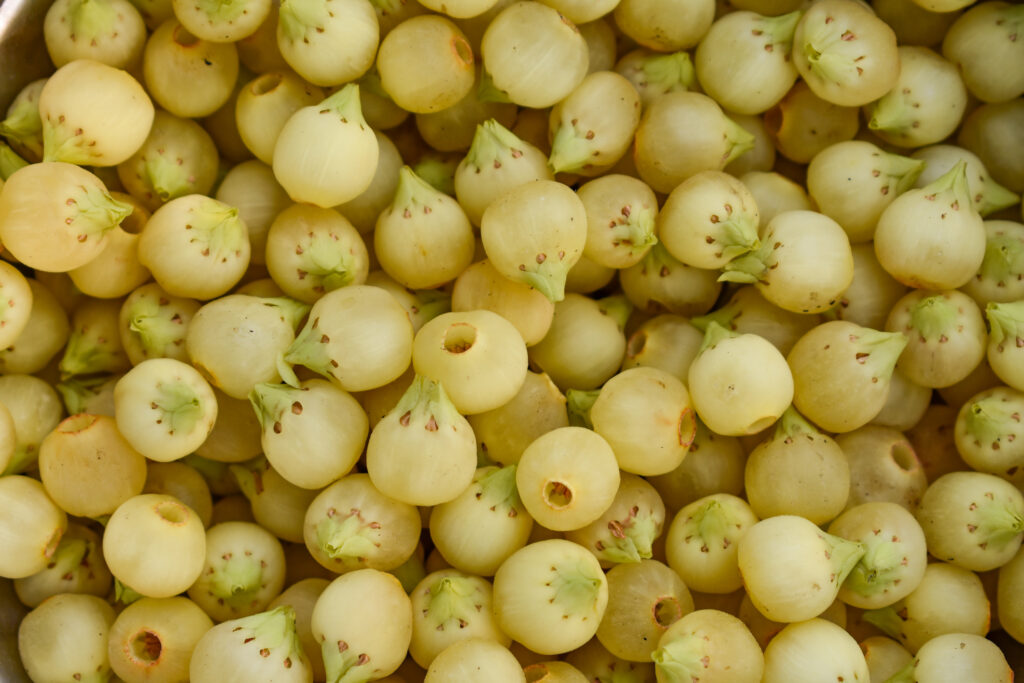 mahua drink indian liquor