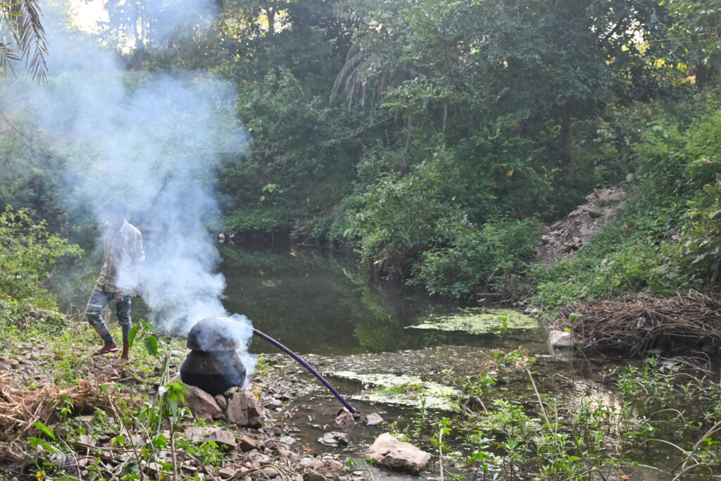 mahua drink indian liquor
