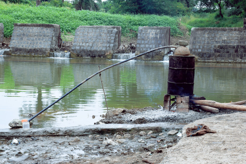 mahua drink indian liquor