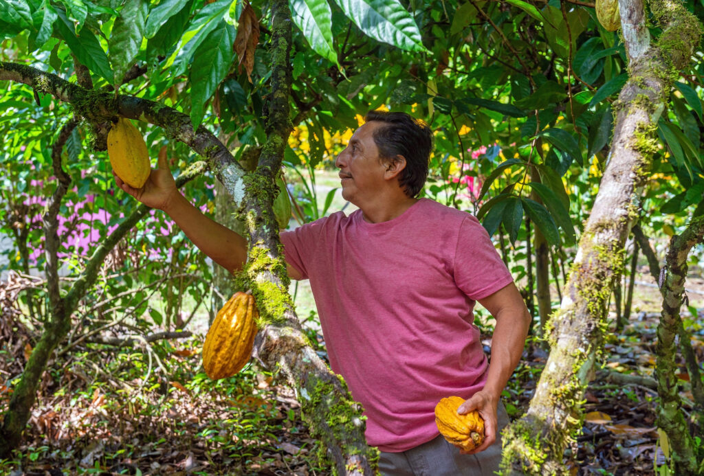 nacional chocolate precious