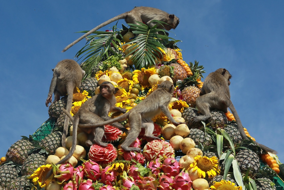 Phra Prang Sam Yot lopburi monkey banquet