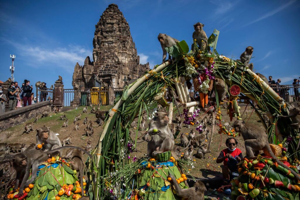Phra Prang Sam Yot lopburi monkey banquet