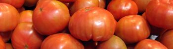 tomato fruit or vegetable