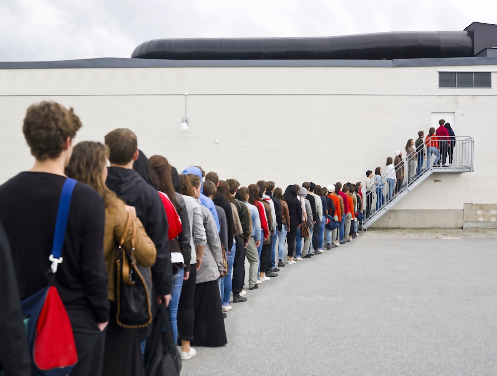susie dent curiosities queue