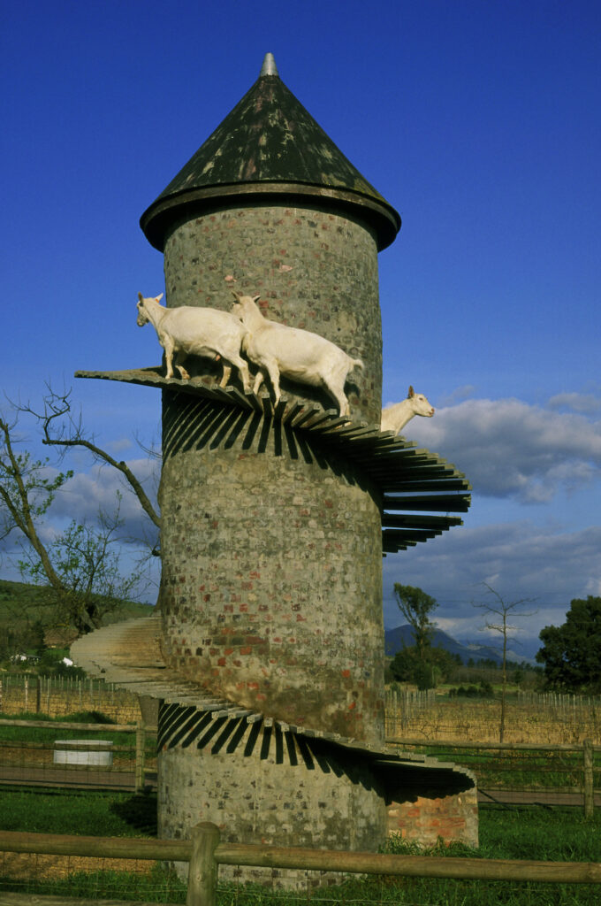 Goat tower