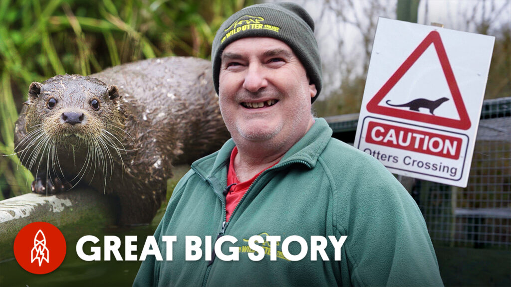 Saving Orphaned Otters One Step at a Time